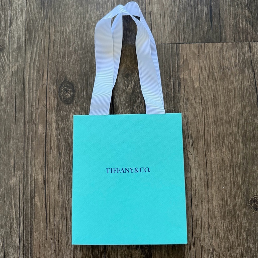 TIFFANY & CO Turquoise Blue Mini Paper Gift Bags Tote Reusable V Day Birthday